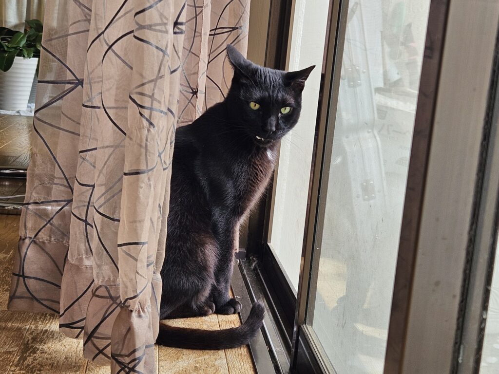 助さん