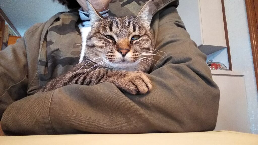 リンちゃん