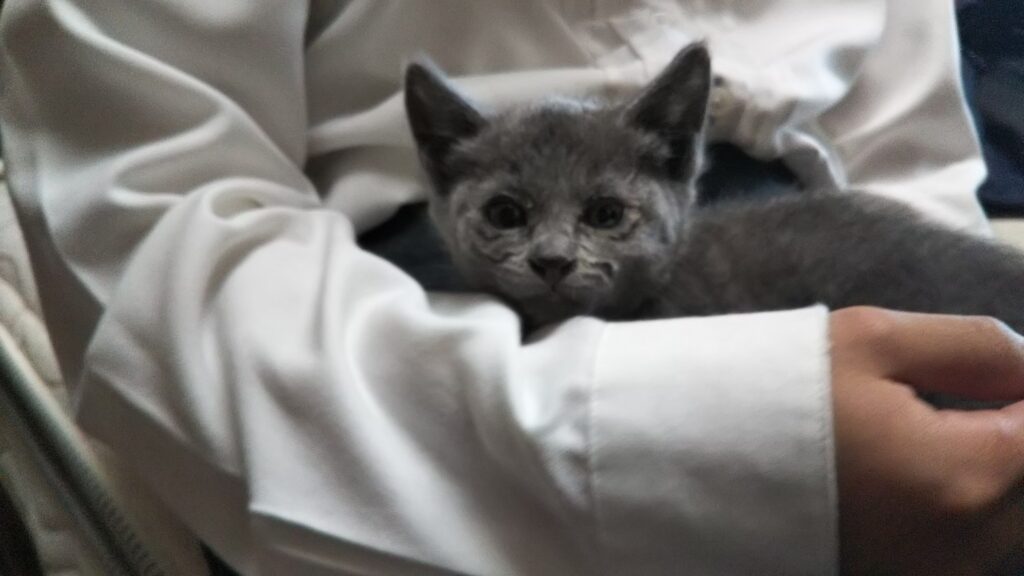 アオちゃん