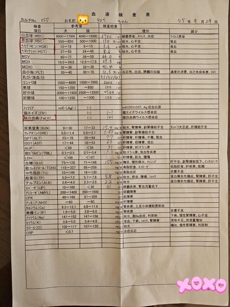 がんばれ！太郎君