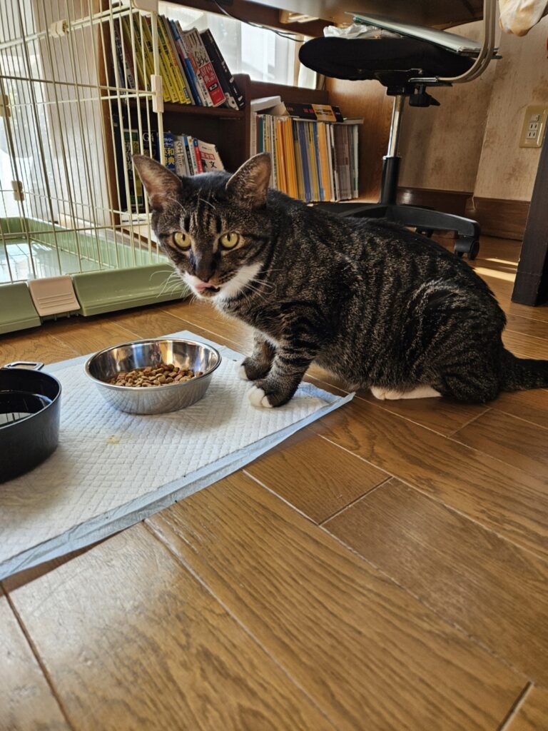 太郎君