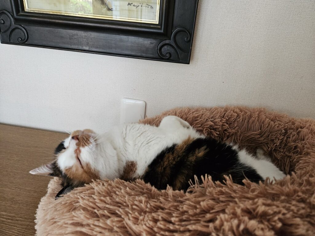 1人を満喫幸子さん