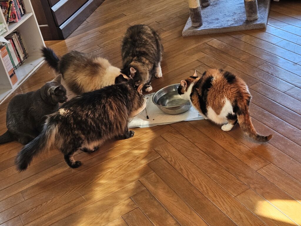 マックス幸子さん